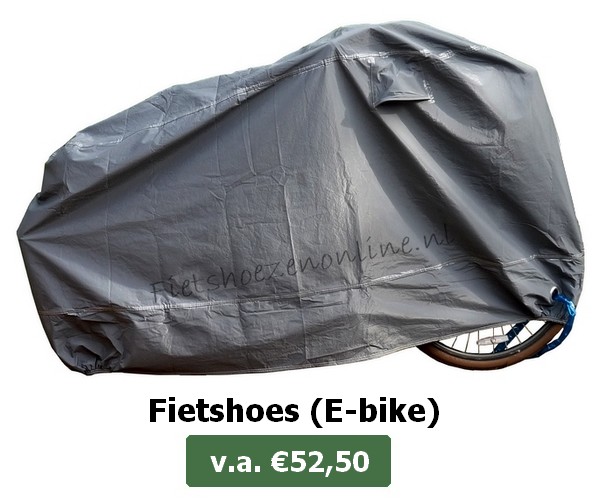 Fietshoes (E-bike)